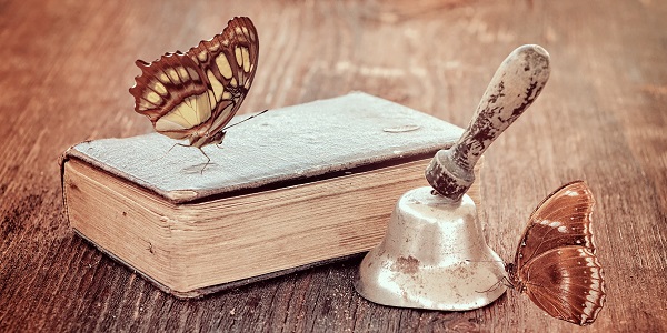 book 600 300